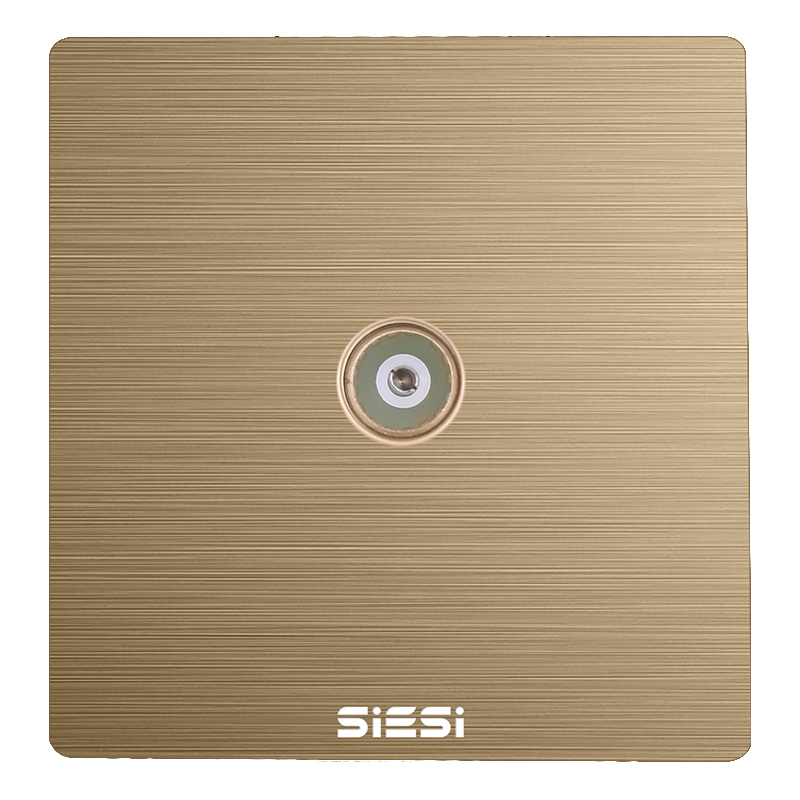 一位电视插座/带分支-V6富贵金-南宫体育照明官网