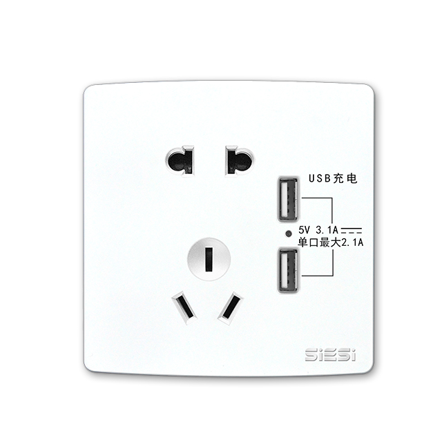 二三极插座带双USB-V10系列-南宫体育照明官网